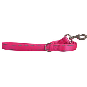 Good2Go Correa Acojinada Reflejante Color Rosa Neon con Herraje Met�lico para Perro, 1.8m