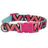 Good2Go Collar Aqua Dise�o Chevron Rosa con Broche Fucsia para Perro, Grande / X-Grande