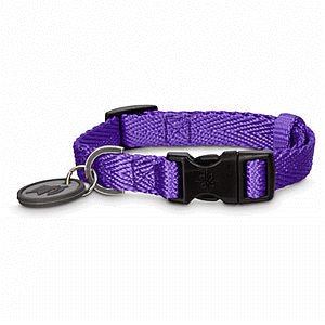 Good 2 Go Collar Nylon Ajustable Morado  Chico 23 - 36 cm