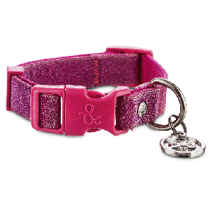 Bond & Co Collar  Decorado con Brillantes para Perro   X Chico