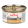 Royal Canin Alimento H�medo para Perro Adulto Raza Yorkshire Terrier Receta Pollo, 85 g