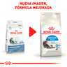 Royal Canin Alimento Seco para Gato Adulto de Interior Receta Pollo, 3.1 kg