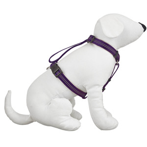 Good2Go Arn�s Reflejante Ajuste Romano Color Morado para Perro, Chico