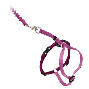 Petsafe Arn�s y Correa Come With Me Kitty Color Rosa para Gato, Mediano