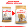 Royal Canin Alimento Seco para Perro Adulto Raza Yorkshire Terrier, 4.5 kg