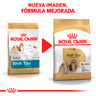 Royal Canin Alimento Seco para Perro Adulto Raza Shih Tzu, 4.5 kg