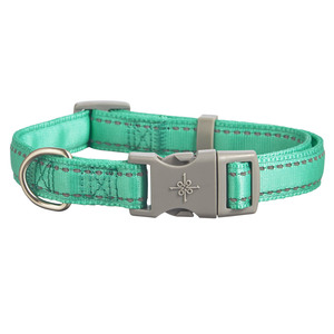 Good2Go Collar Acojinado Reflejante Color Turquesa Neon con Broche Gris para Perro, Grande / X-Grande