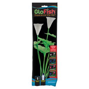 GloFish Planta Color Change Green  XGDE