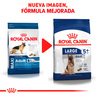 Royal Canin Alimento Seco para Perro Senior Raza Grande Receta Pollo, 13.6 kg