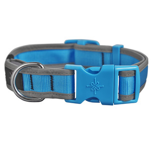 Good2Go Collar Reflejante con Luz LED Recargable Color Verde para Perro, Grande / X-Grande